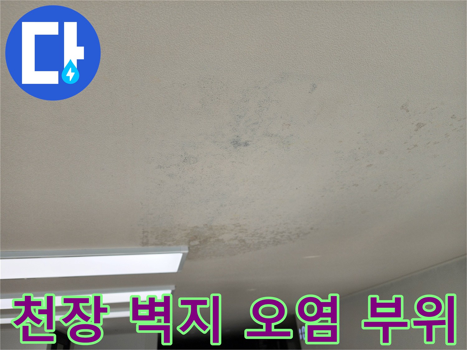 넓은 범위로 번져나간 천장의 누수 및 곰<0xAE>팡이 흔적