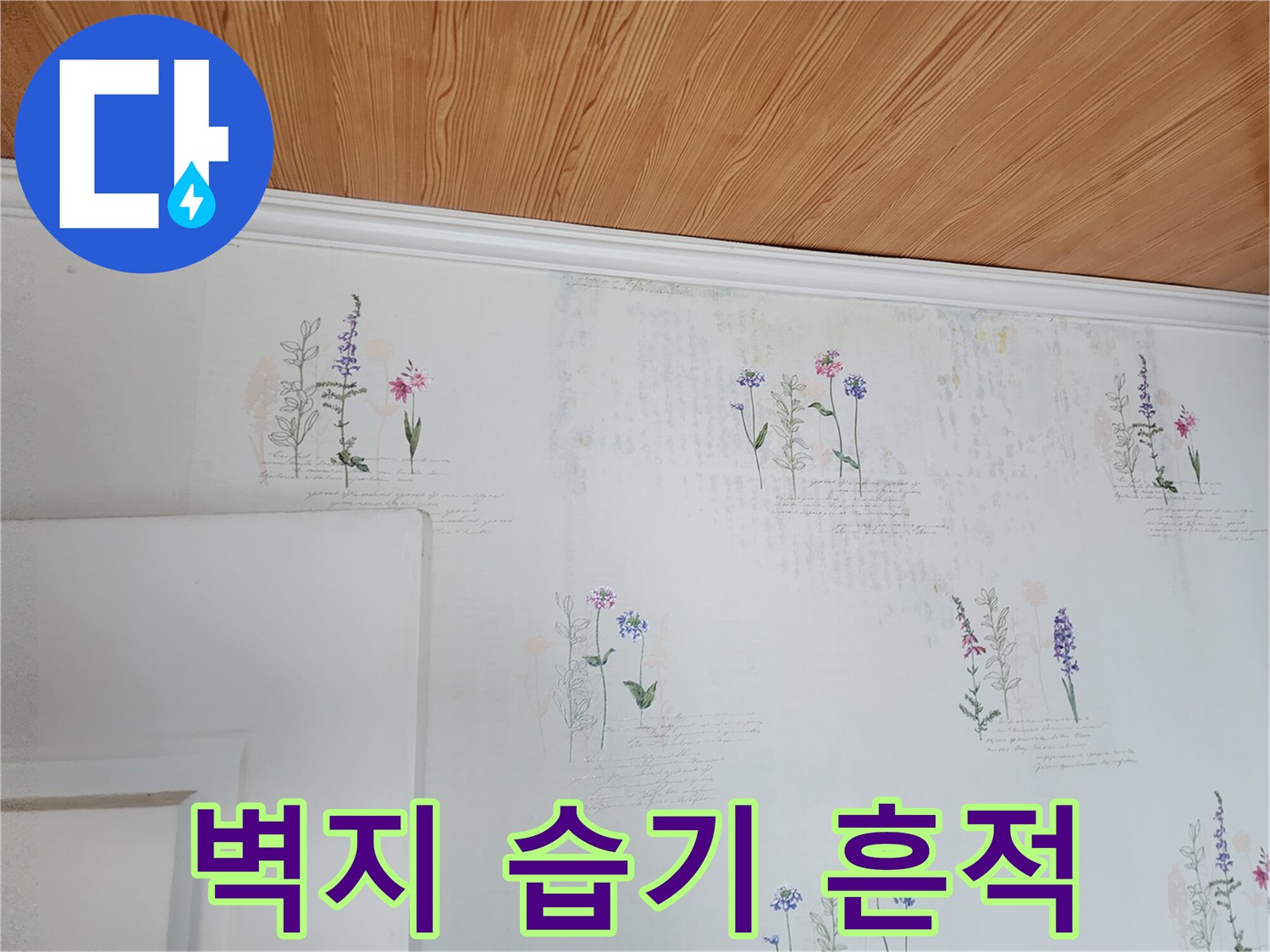 벽지 무늬 부분에 나타난 습기 침투 흔적 - 누수 진단 과정 중 촬영