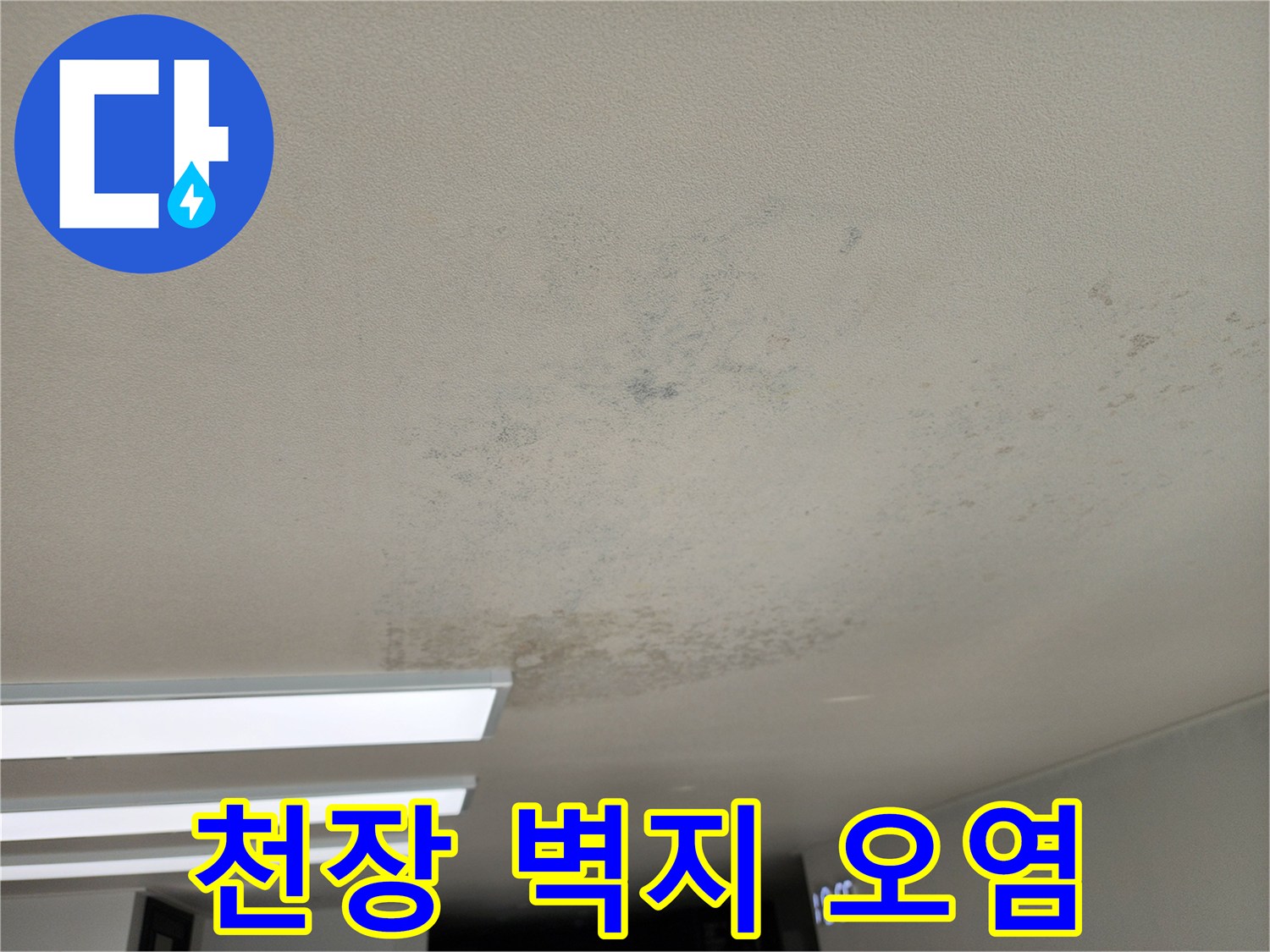 성동리 현장 사진 - 물샘으로 인해 변색된 천장 마감 부위