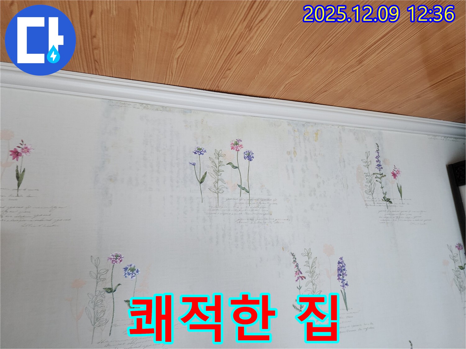 포천 영중면 누수 문제 해결 - 곰팡이 낙원 벽지 문제를 해결하고 쾌적하고 건강한 집으로 만들어 드리는 완벽한 누수 공사