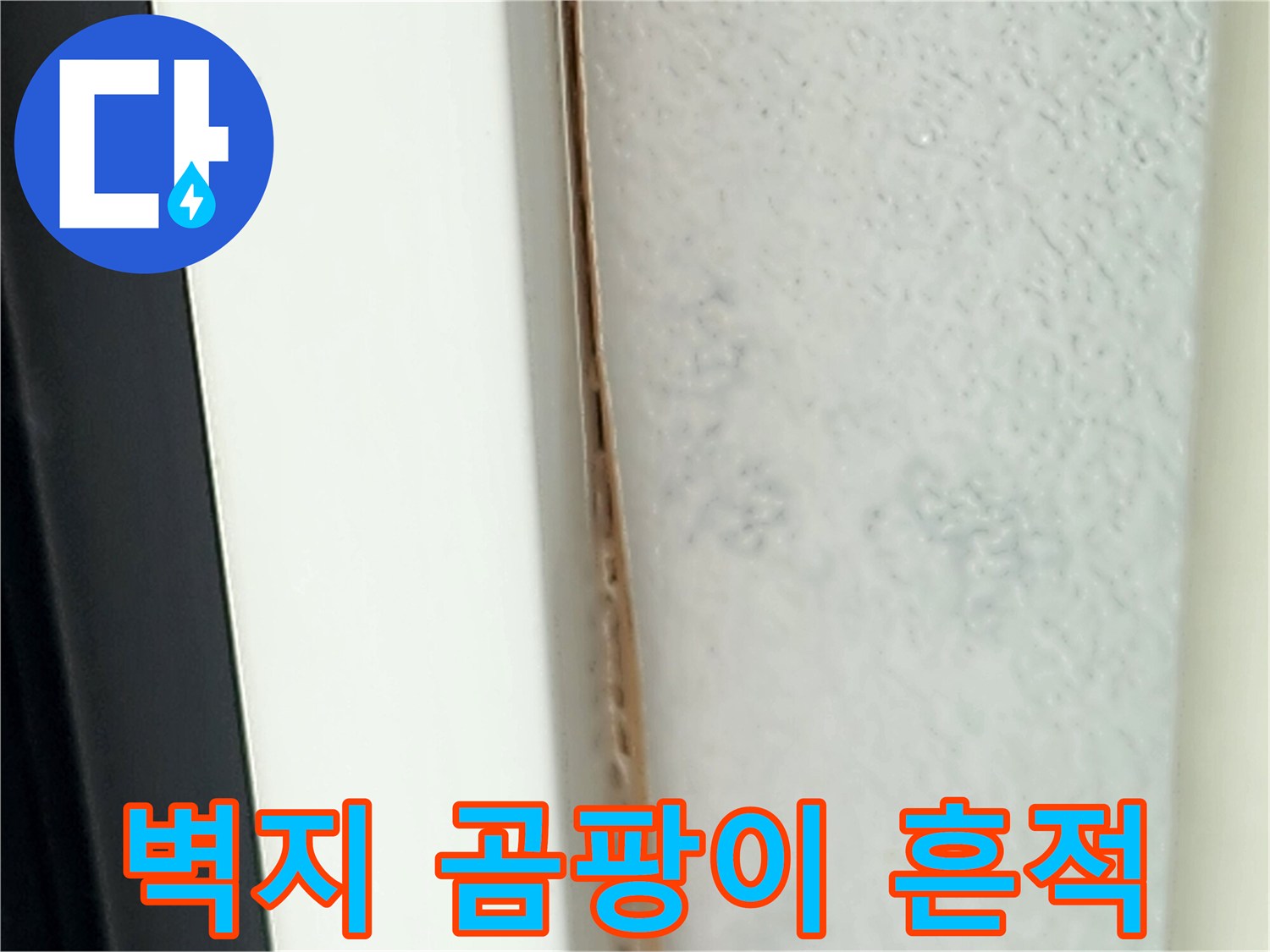 포천 영중면 현장-벽지에 발생한 곰팡이와 습기 흔적