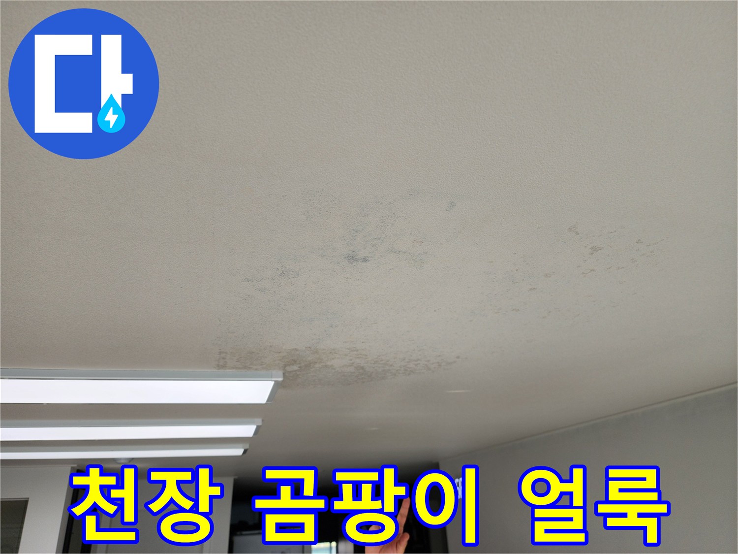 포천 영중면 현장의 천장 벽지 곰팡이와 누수 흔적 상태