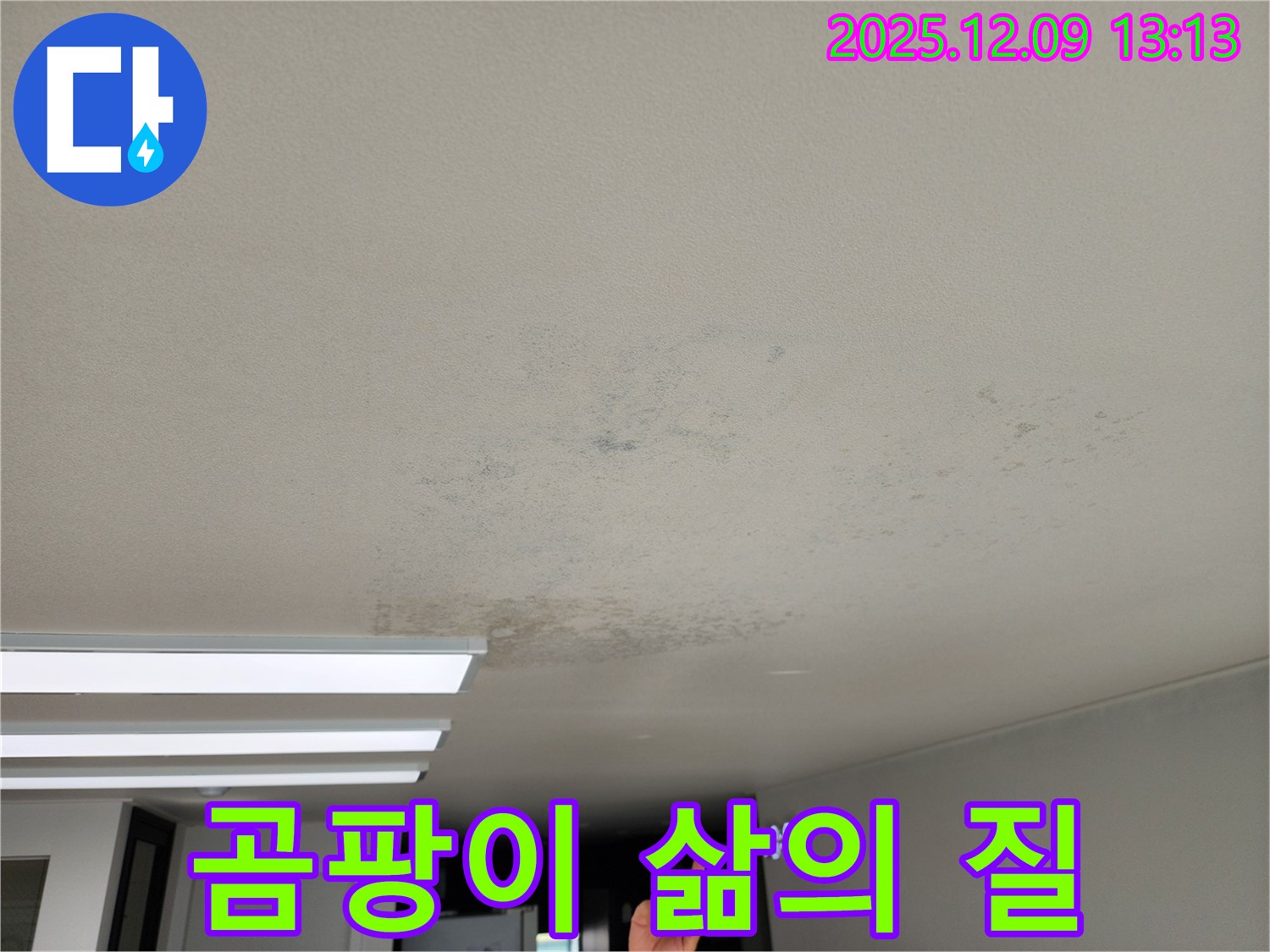 포천시 영중면 성동리 - 곰팡이, 삶의 질을 떨어뜨리는 천장 누수