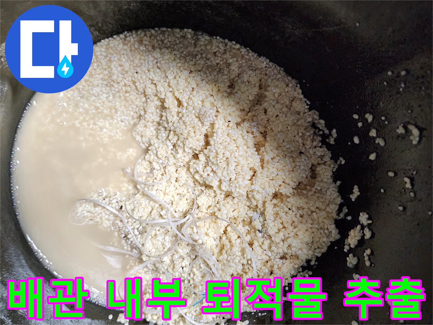 배수관에서 뽑아낸 하얀 기름 슬러지와 오염된 물의 모습