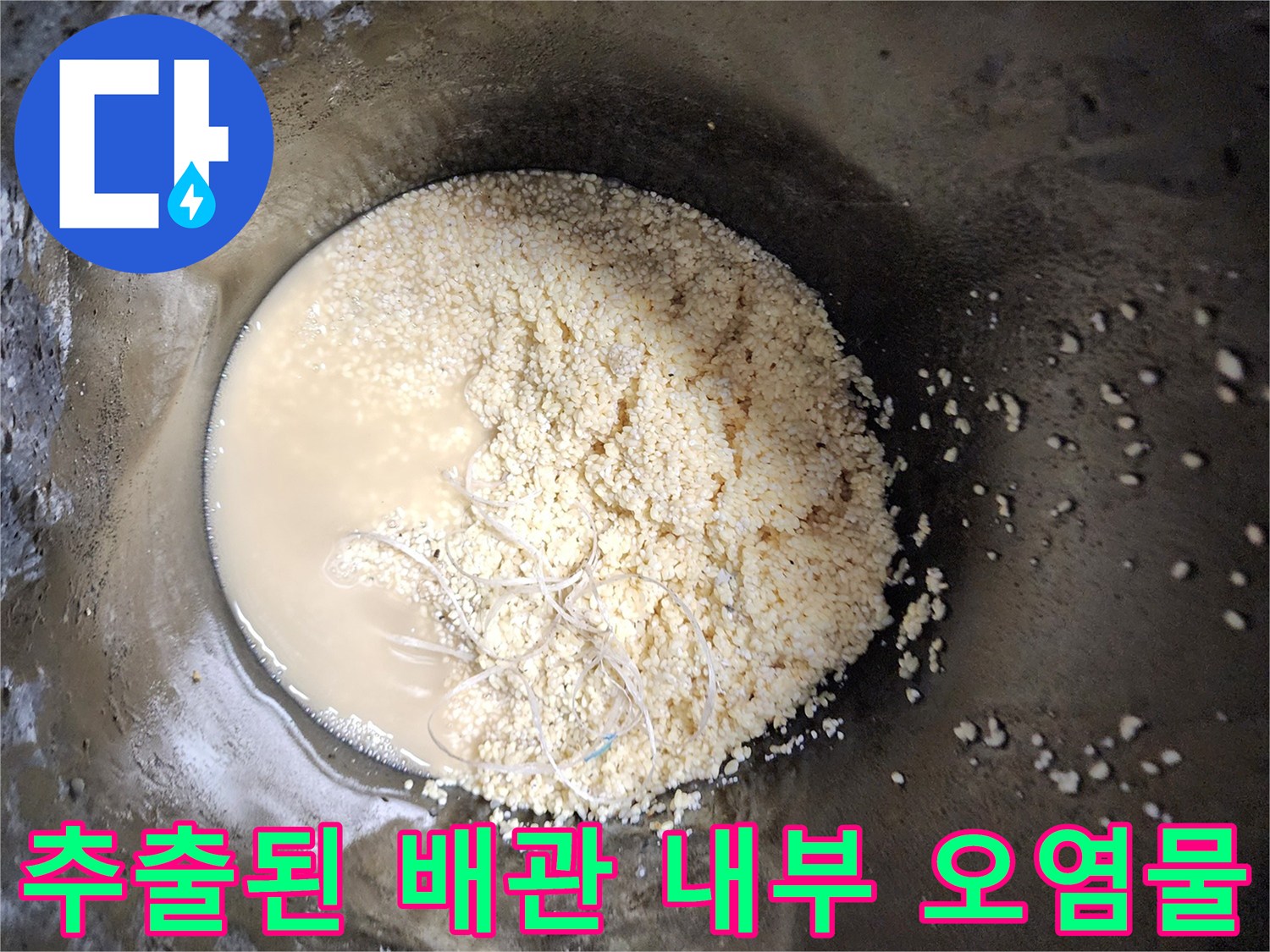 석션 작업으로 수거된 하얀 유지방 슬러지와 탁한 오수