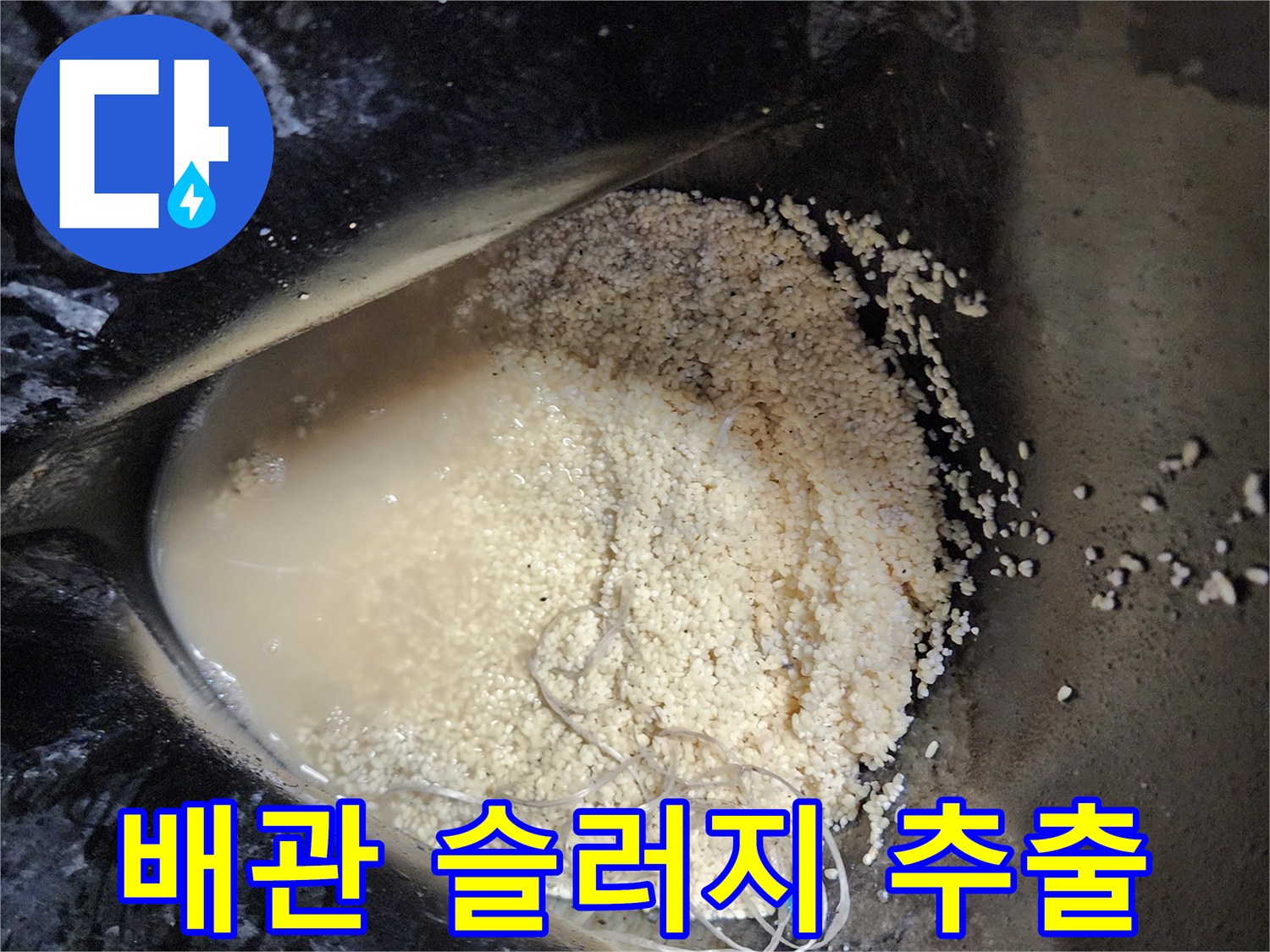 석션 장비를 통해 수거된 배수관 내 유지방 퇴적물