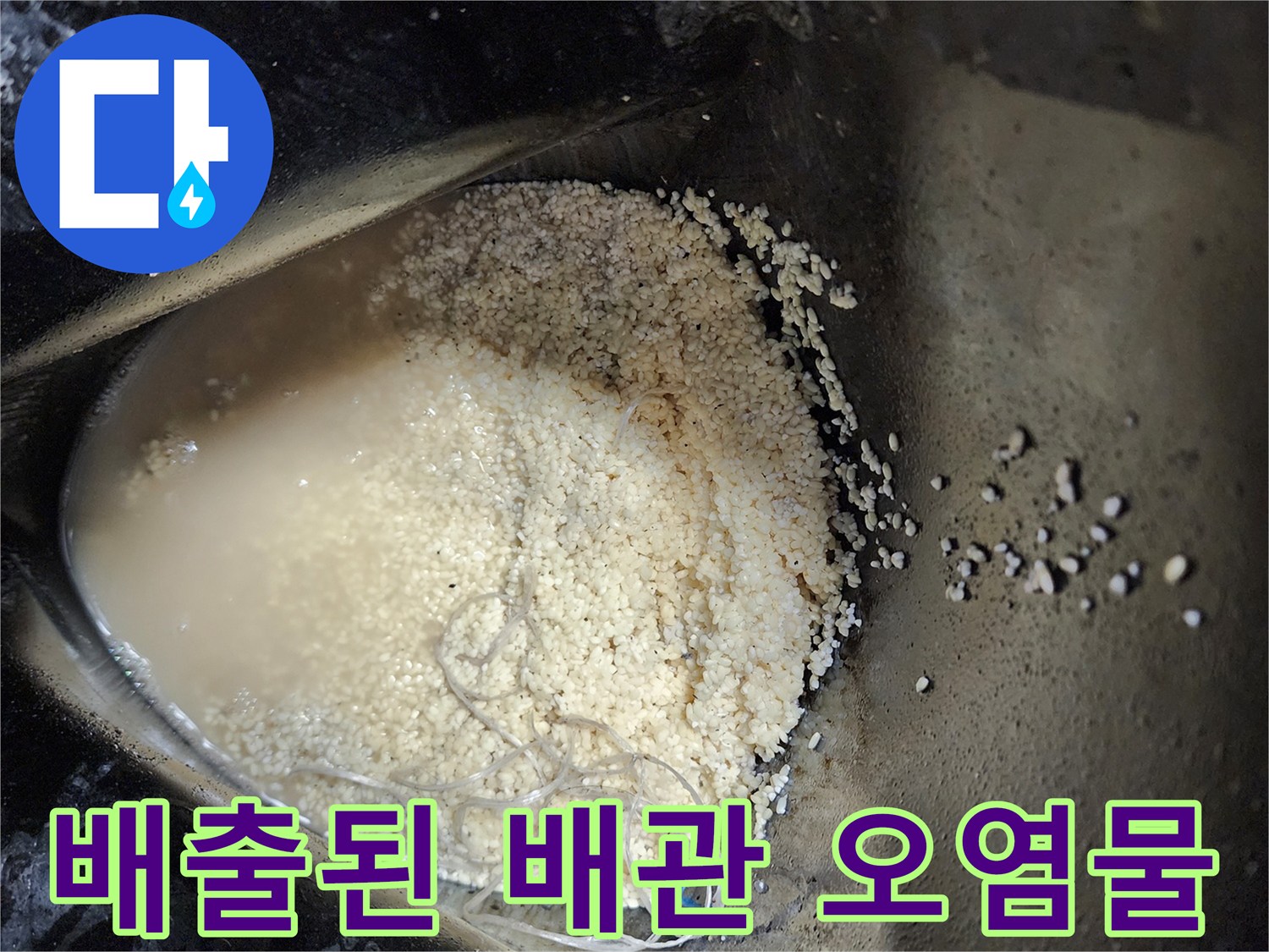 싱크대 배관 세정 후 수거된 기름 슬러지와 오수