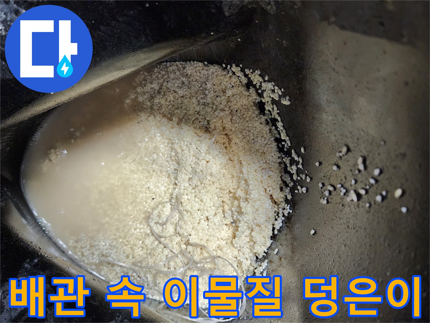 싱크대 배수관 내부에서 추출된 기름 슬러지와 오염된 물