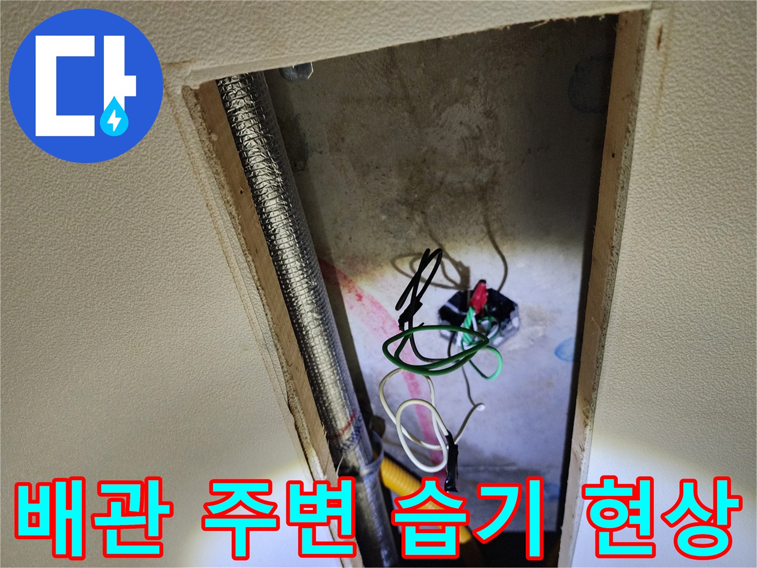 점검구 내부의 축축한 배관 환경과 전선 연결부