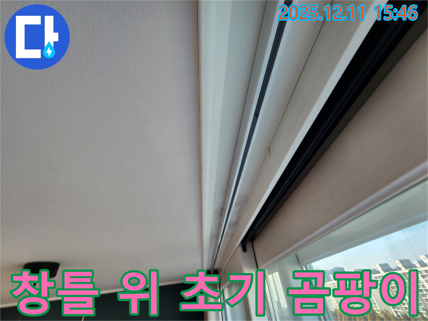 포천 영중면 건물 창틀 누수 - 위 아주 초기 곰팡이 완벽 해결 자신