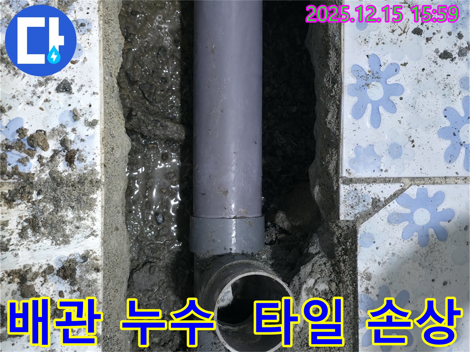 수원 곡반정동에서 발생한 배관 누수 - 타일 손상과 함께 누수 지점을 정확히 탐지하여 해결하는 과정