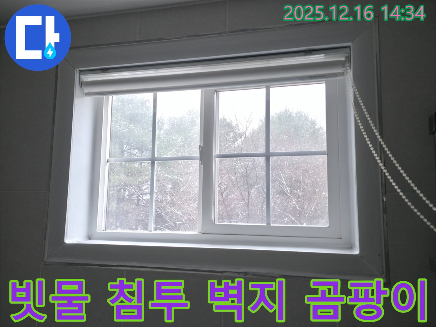 홍천 서면 팔봉강변길에서 빗물 침투로 인해 벽지에 곰팡이가 발생한 모습 - 누수 해결과 곰팡이 제거 시공이 필요합니다.
