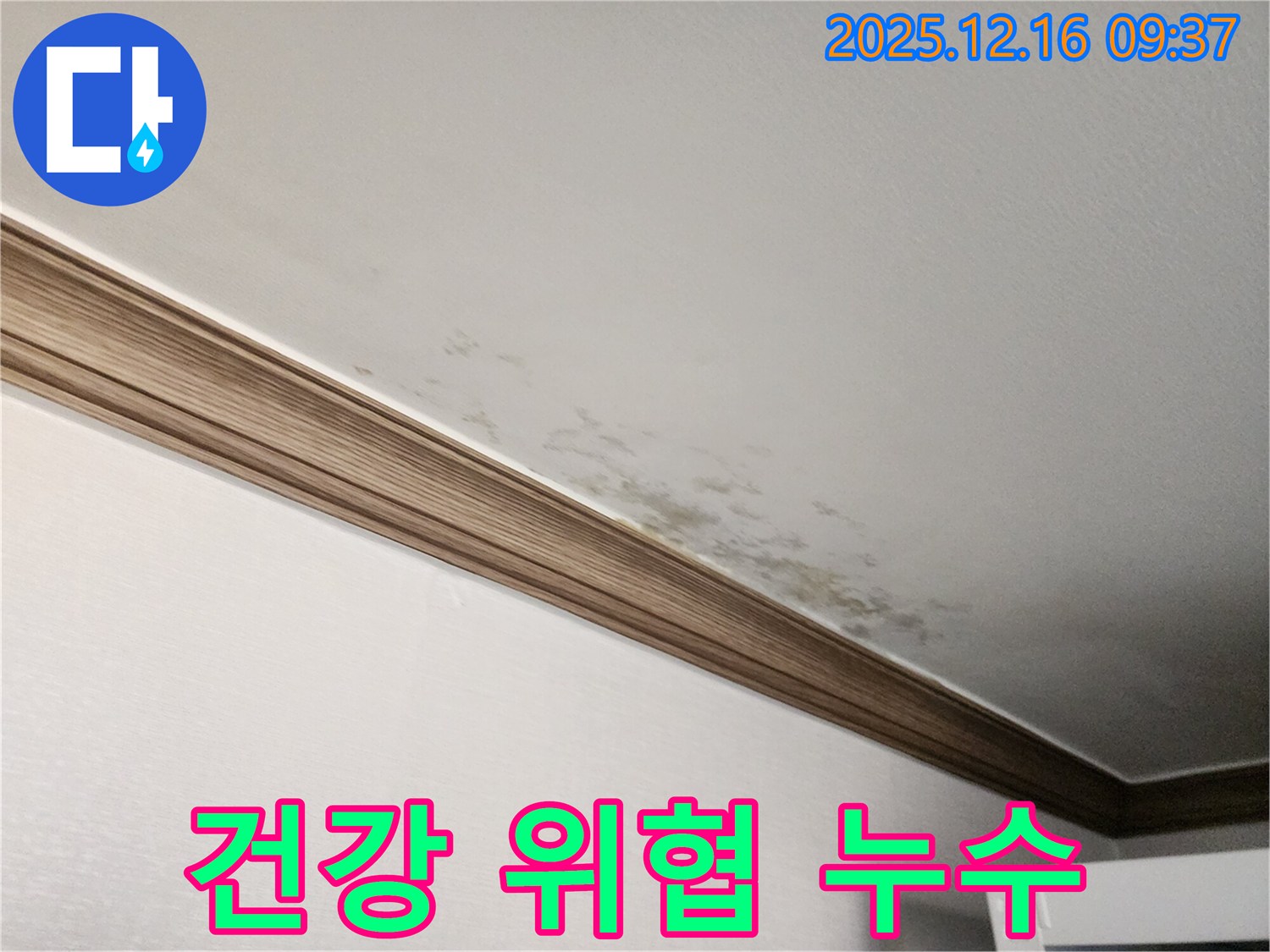 경기도 포천시 영북면 누수 - 곰팡이 천장, 건강 위협! 누수 해결이 먼저