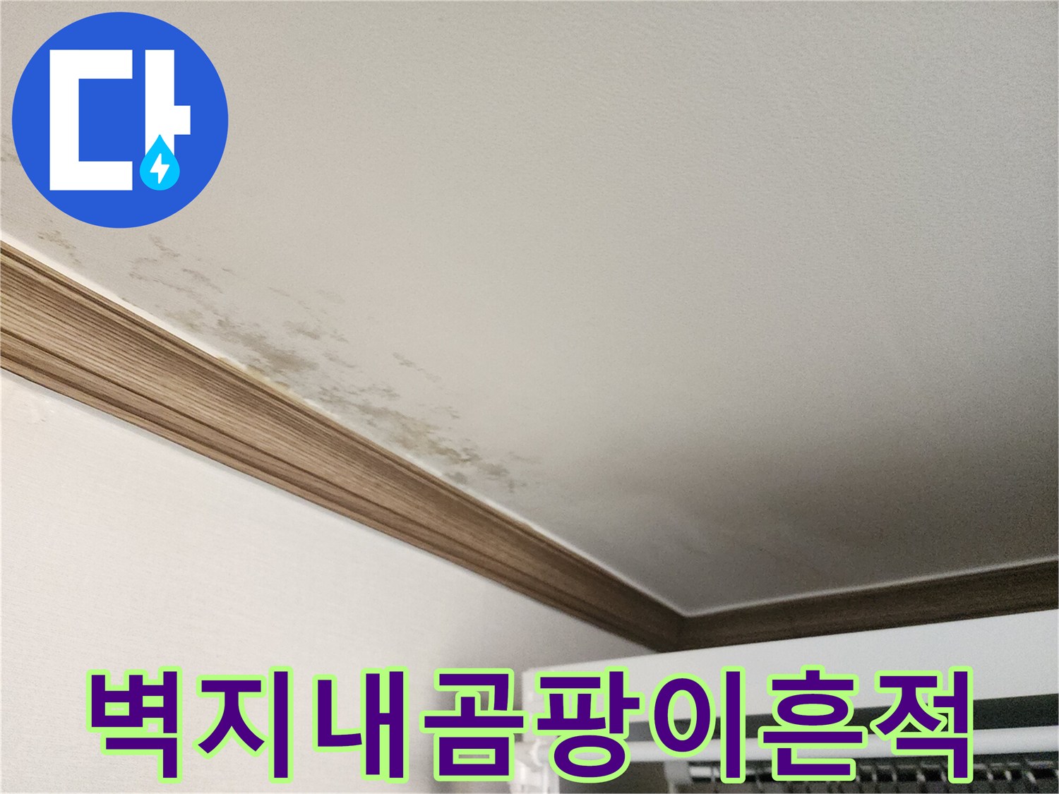 천장-벽면-경계의-축축한-벽지-및-곰팡이-발생