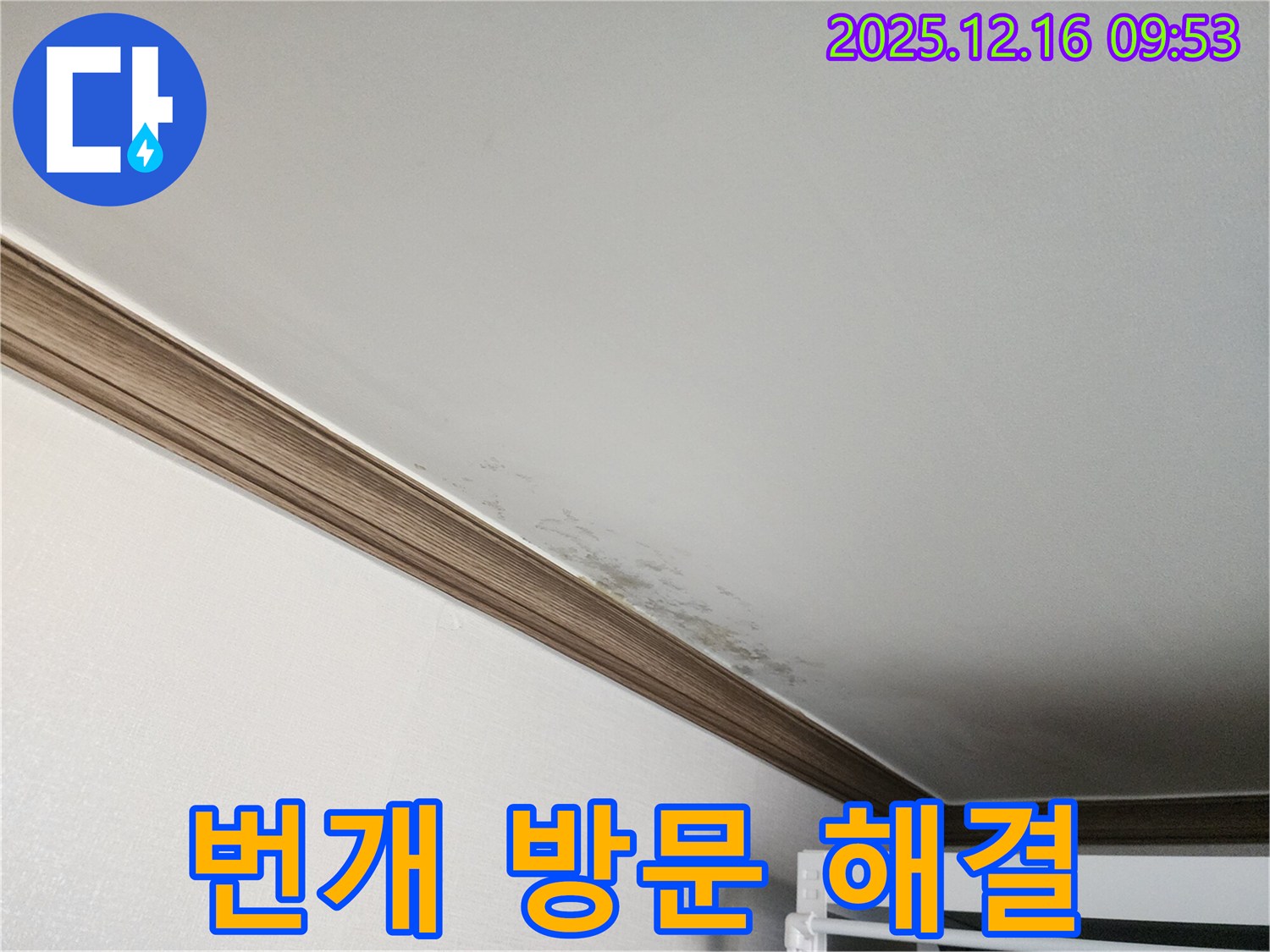 포천 영북면 누수 - 번개처럼 신속한 방문으로 곰팡이 천장 누수 문제 해결