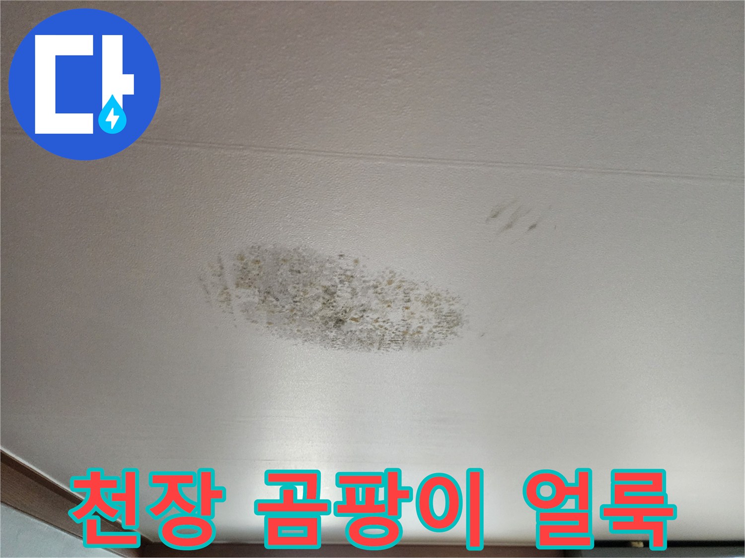 천장 벽면에 발생한 어두운색의 곰팡이와 습기 흔적