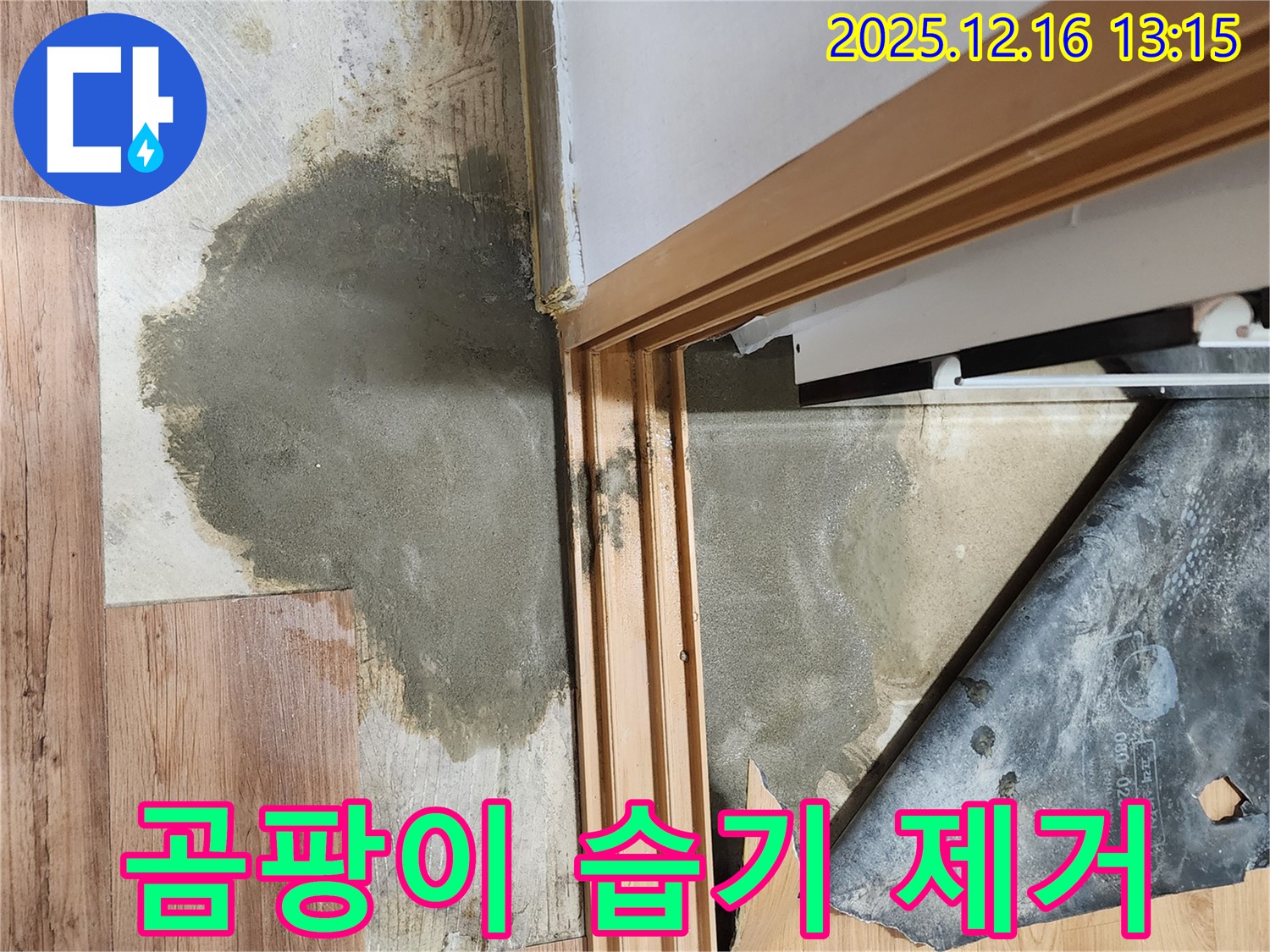 포천시 영북면 소홀리 누수 현장 - 장판 밑 곰팡이와 습기를 제거하여 쾌적한 환경을 만드는 작업입니다.