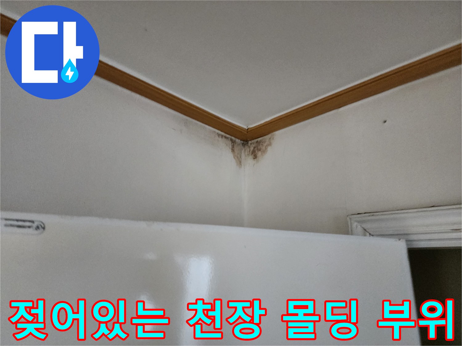 천장 구석의 곰팡이와 습기로 인한 변색 상태