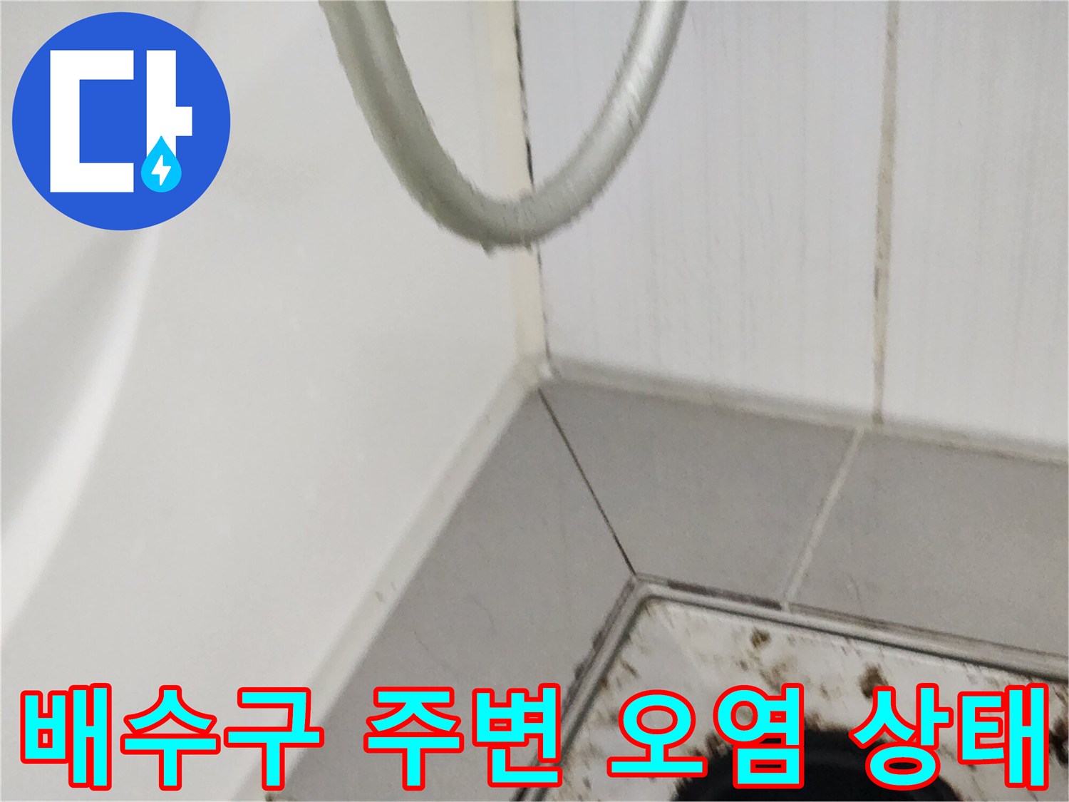욕실 배수구 주변의 타일 틈새와 유가 내부 오염 확인