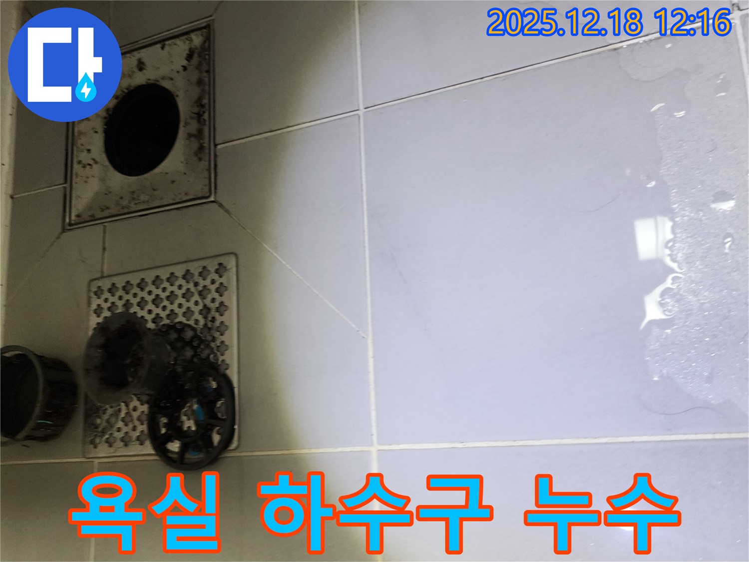 포천시 영북면 가채리 욕실 하수구 주변 누수 발생 - 누수탐지 전문 업체가 방문하여 정확한 원인을 진단하고 해결합니다.
