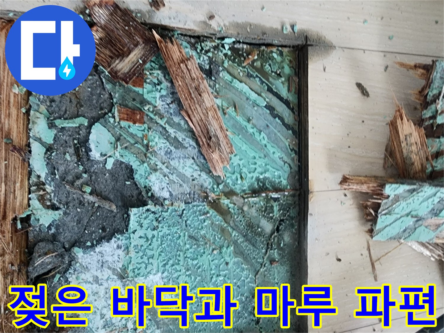 안산 고잔동 누수 공사-공사 중인 젖은 바닥과 뜯어낸 마루 자재