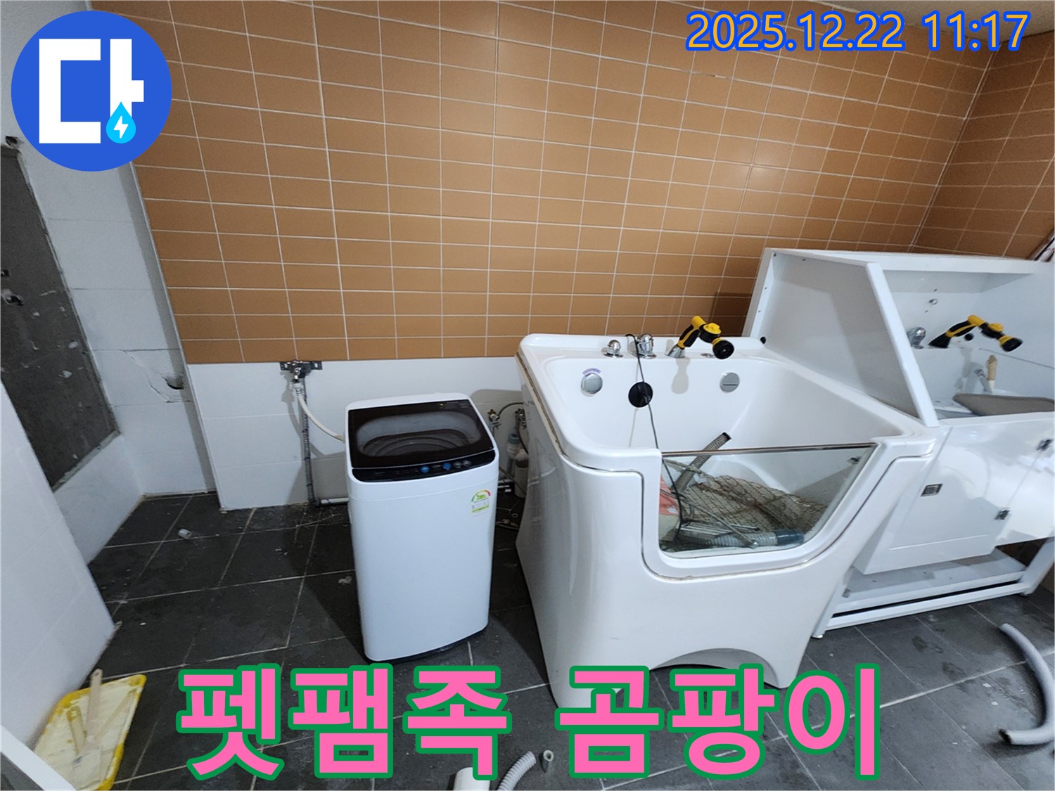 월계2동 세탁기 옆 애견 욕조 누수 - 펫팸족을 위한 맞춤 관리로 곰팡이 걱정 없이 쾌적하게!