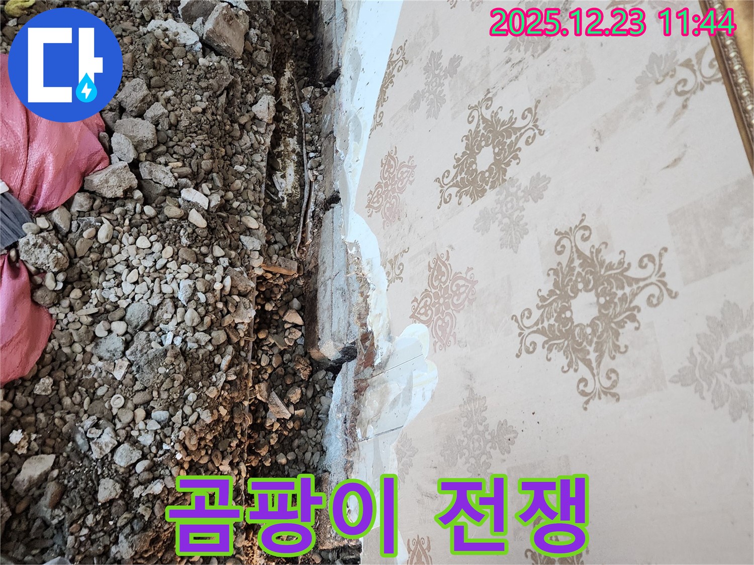 동두천 천장 누수 - 곰팡이와의 전쟁, 이제 시작입니다!