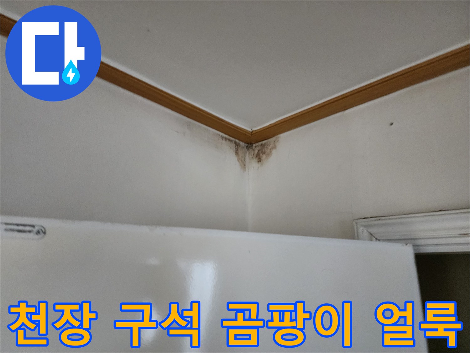 양주 고암동 현장의-천장 몰딩 부근-곰팡이가 발생한 모습