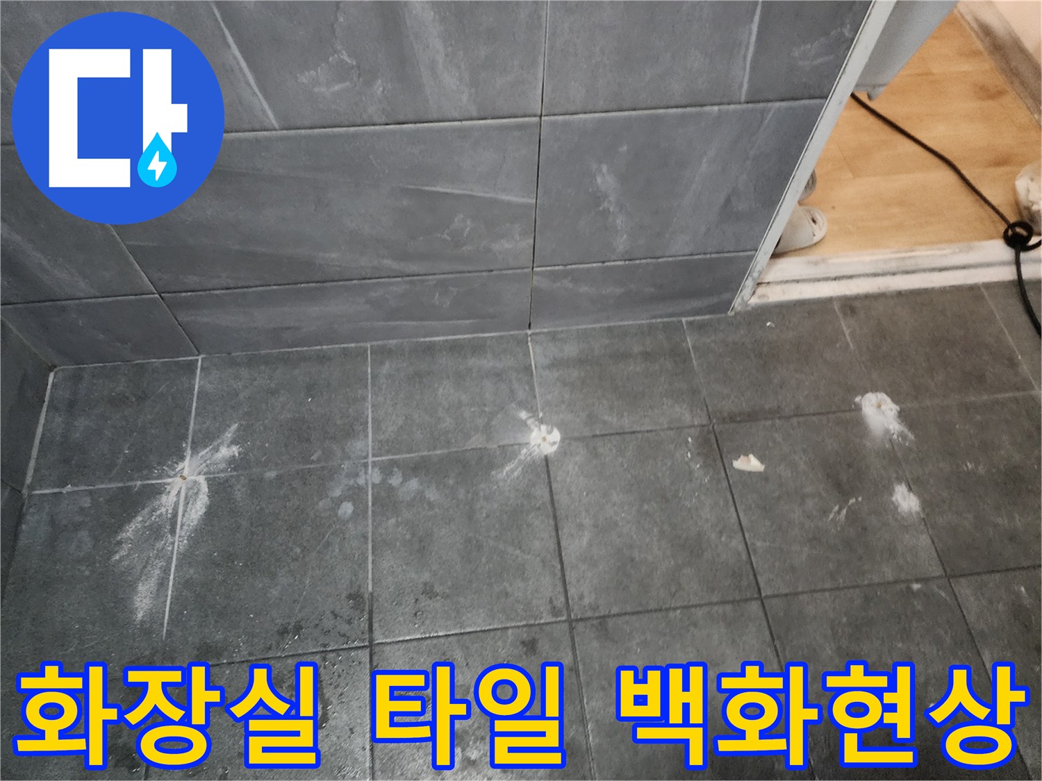 양주 화장실 타일 사이의 하얀 백화 현상과 오염 상태