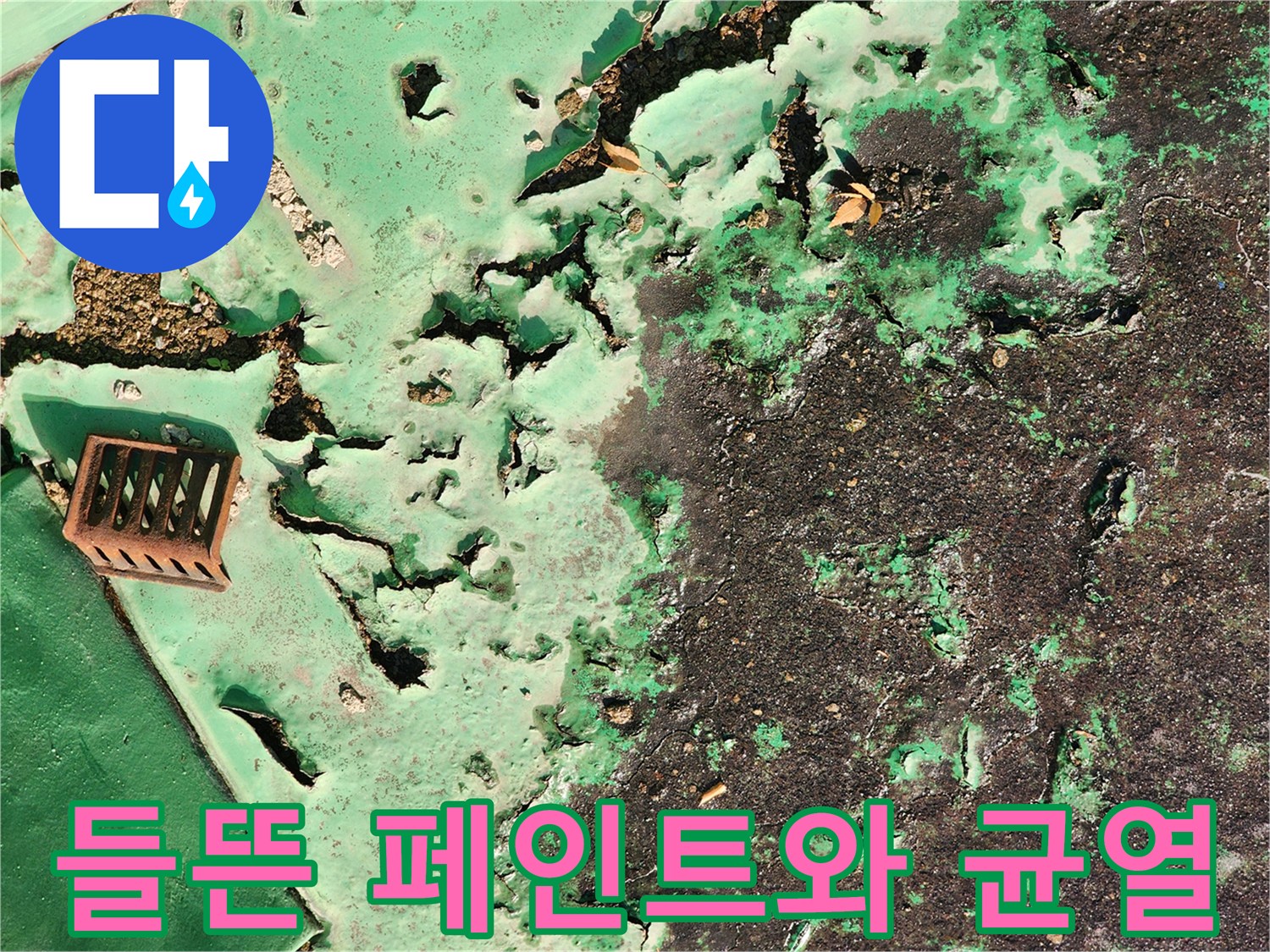 물이 스며들어 갈라지고 일어난 녹색 도색 부위
