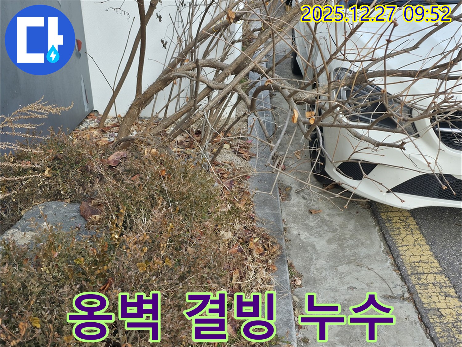겨울철 고급 주택가 옹벽 결빙으로 인한 누수 - 신속한 누수 탐지와 꼼꼼한 보수 작업으로 안전을 확보했습니다.