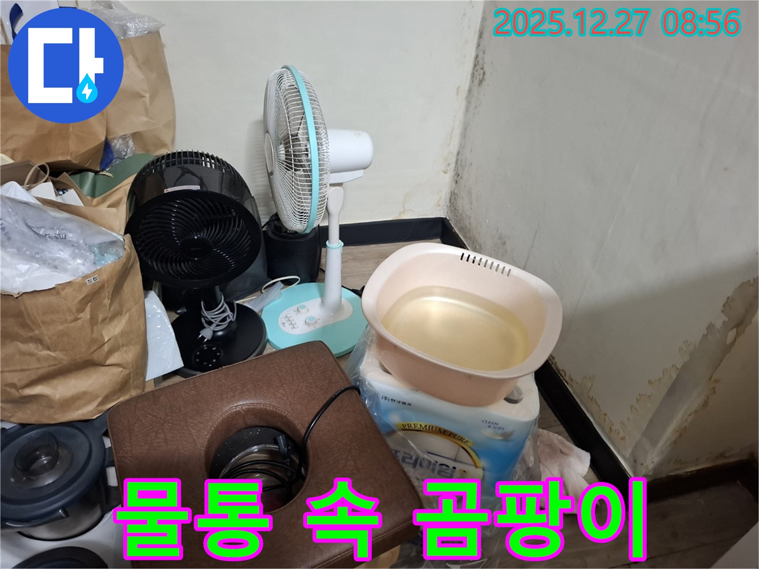 삼전동 누수 현장 - 물통 속 곰팡이 - 청소해도 계속 생기는 곰팡이 - 원인 해결이 중요합니다.