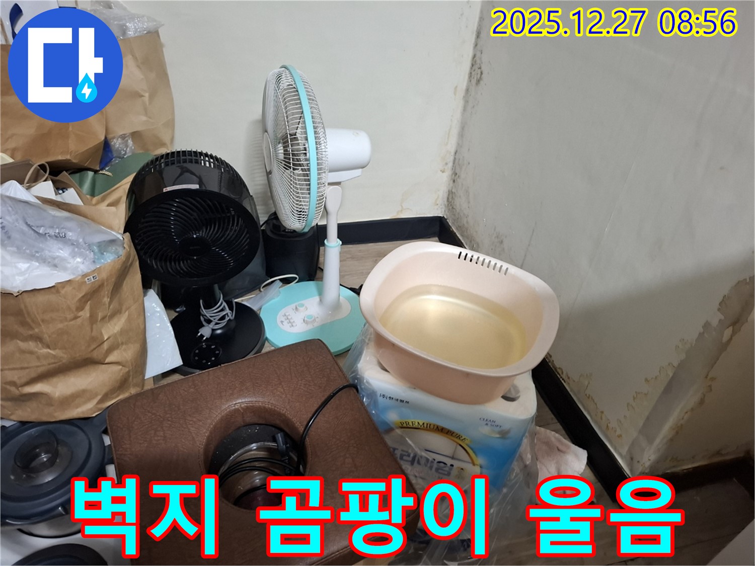 송파구 삼전동 누수 현장 - 곰팡이 때문에 벽지가 울어요! - 벽지 속 곰팡이까지 제거해야 합니다.