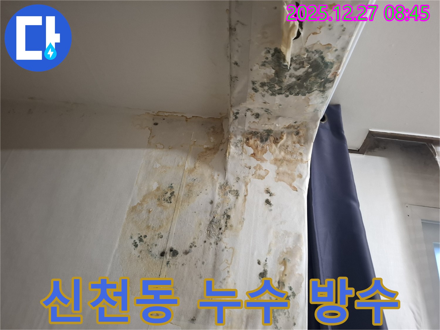 신천동 누수 현장 - 곰팡이 제거 후 완벽한 방수 시공, 누수탐지 전문가의 꼼꼼한 마무리