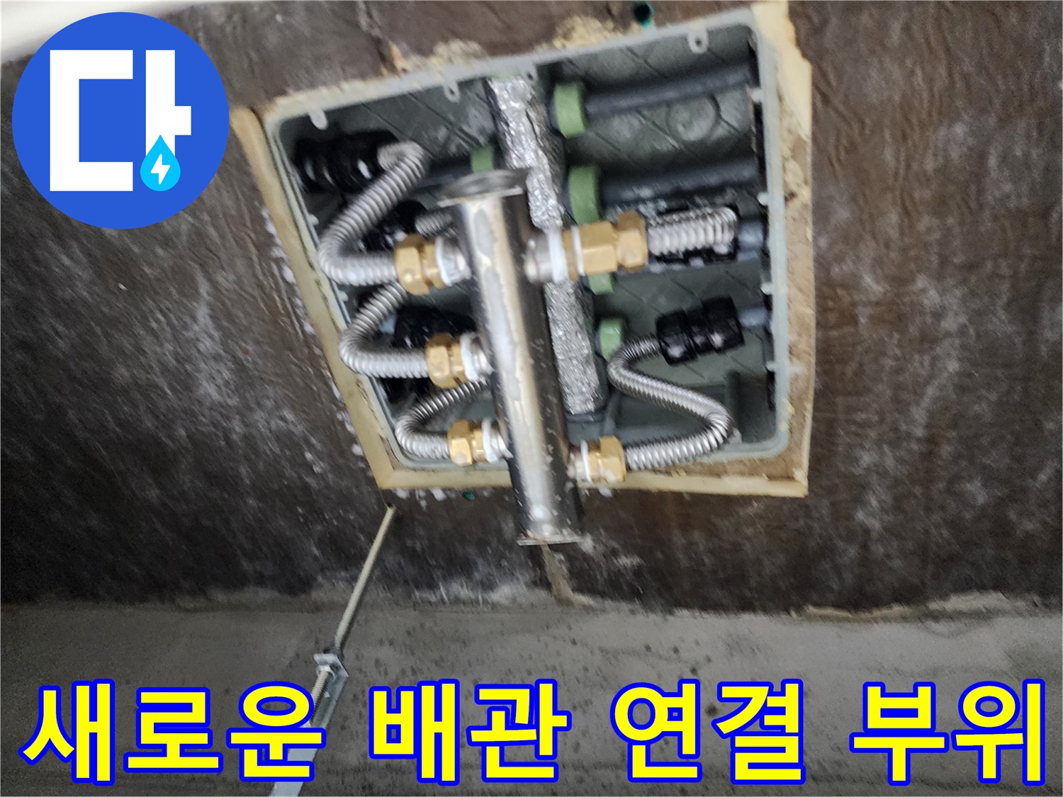 정밀하게-체결된-스테인리스-분배기-와-연결-호스