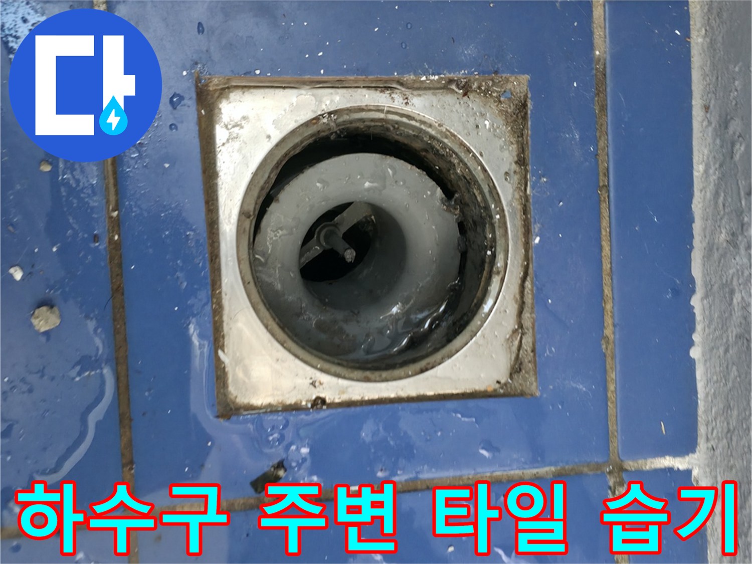 배수구 유가 테두리-타일 틈새로 스며든 물기