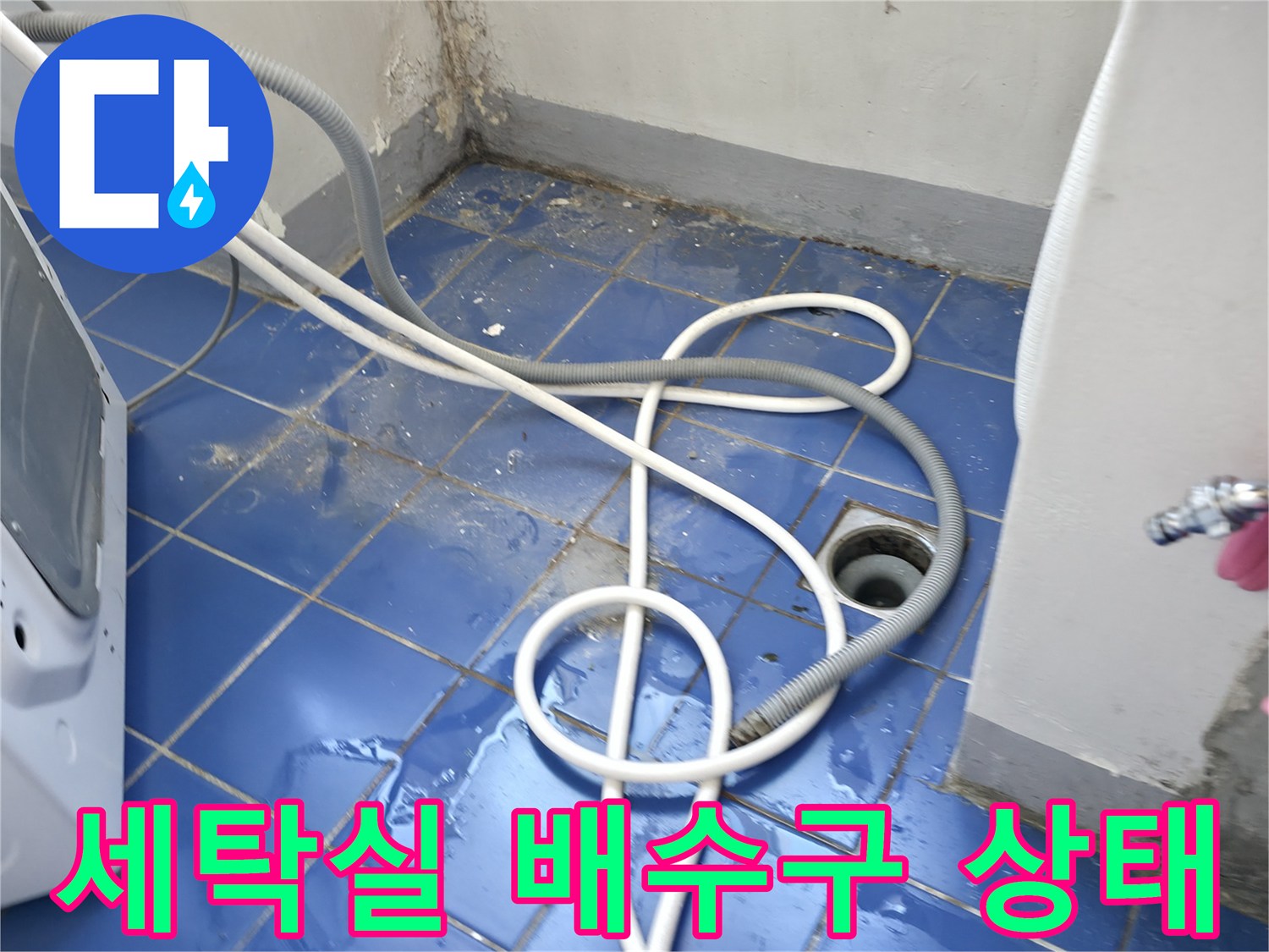 성동구 아파트 세탁실 바닥 배수구 주변의 누수 흔적과 젖은 타일 모습