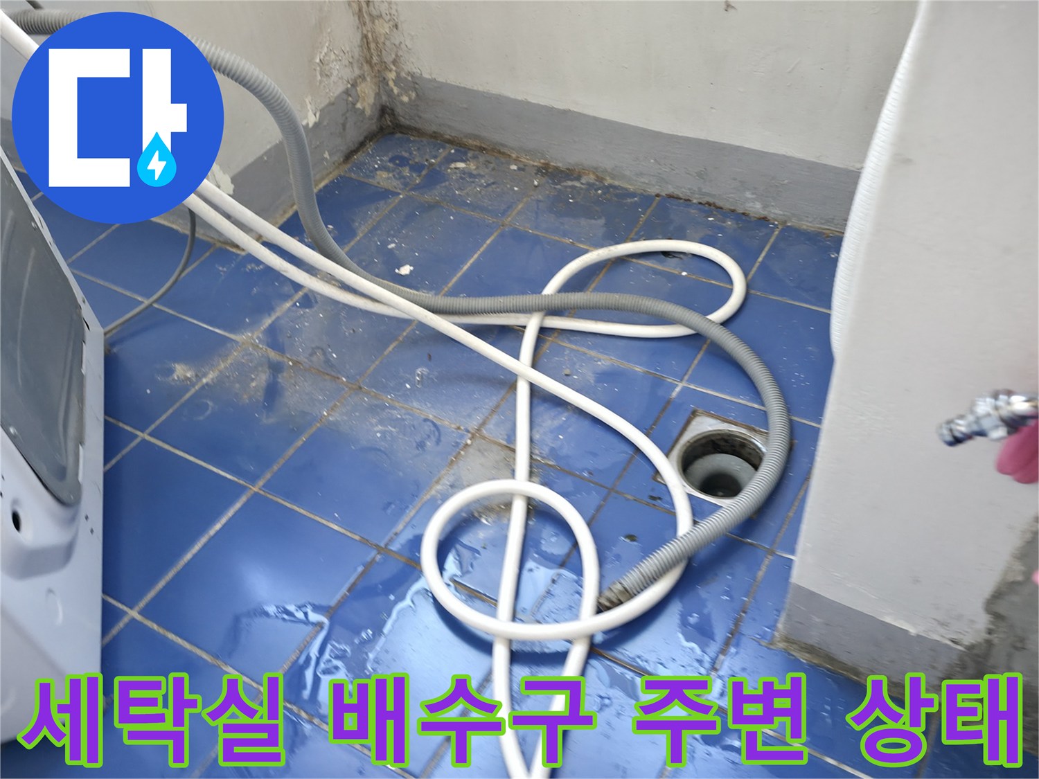 성동구-아파트-세탁실-배수구-주변-물샘-현상-사진
