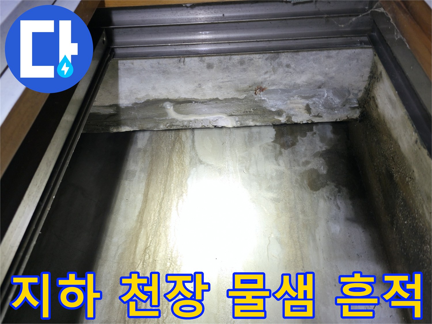 용인 수지구 지하층 천장 벽면의 누수 흔적과 습기 상태