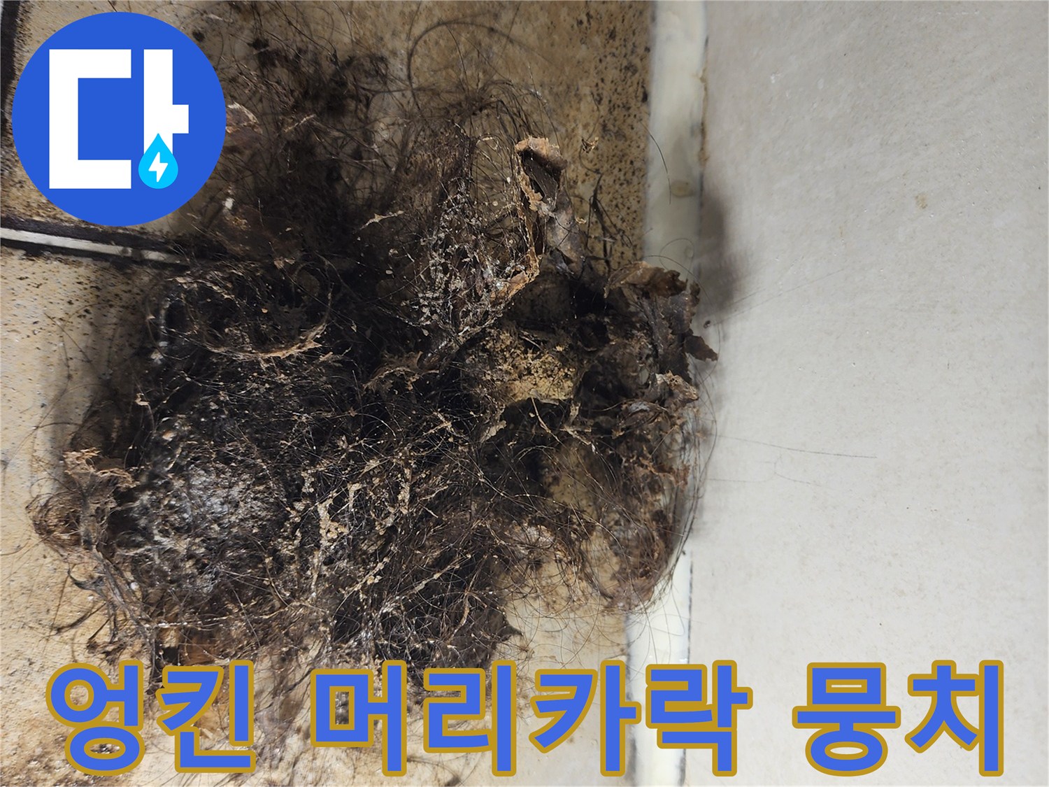 배수구-내부의-심한-머리카락-오염물질