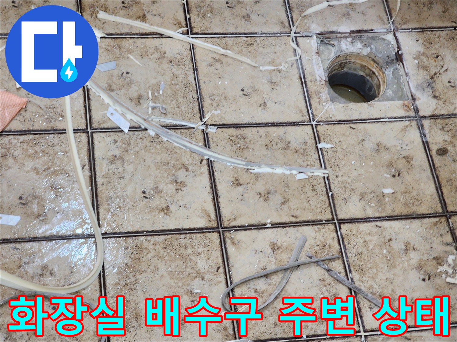 일산동구 화장실-배수구 유가 주변의 파손된 타일과 이물질 상태를 보여주는 사진입니다.
