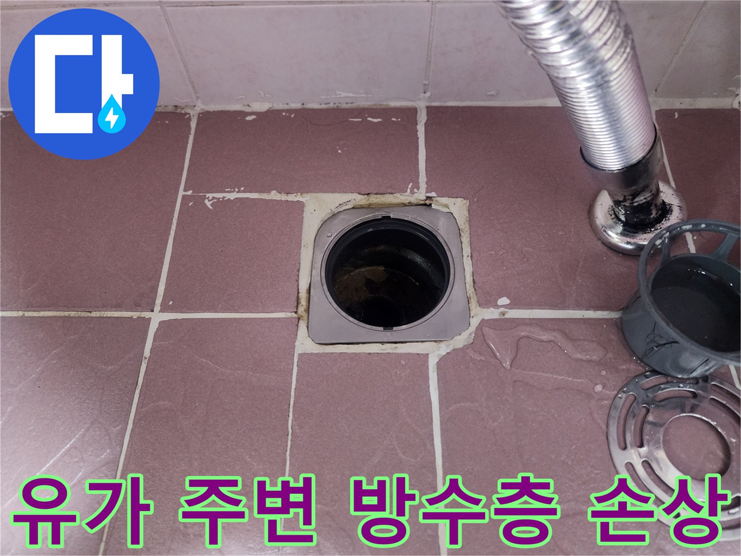 배수구 유가 탈거 후 확인된 하부 배관 및 타일 파손 부위
