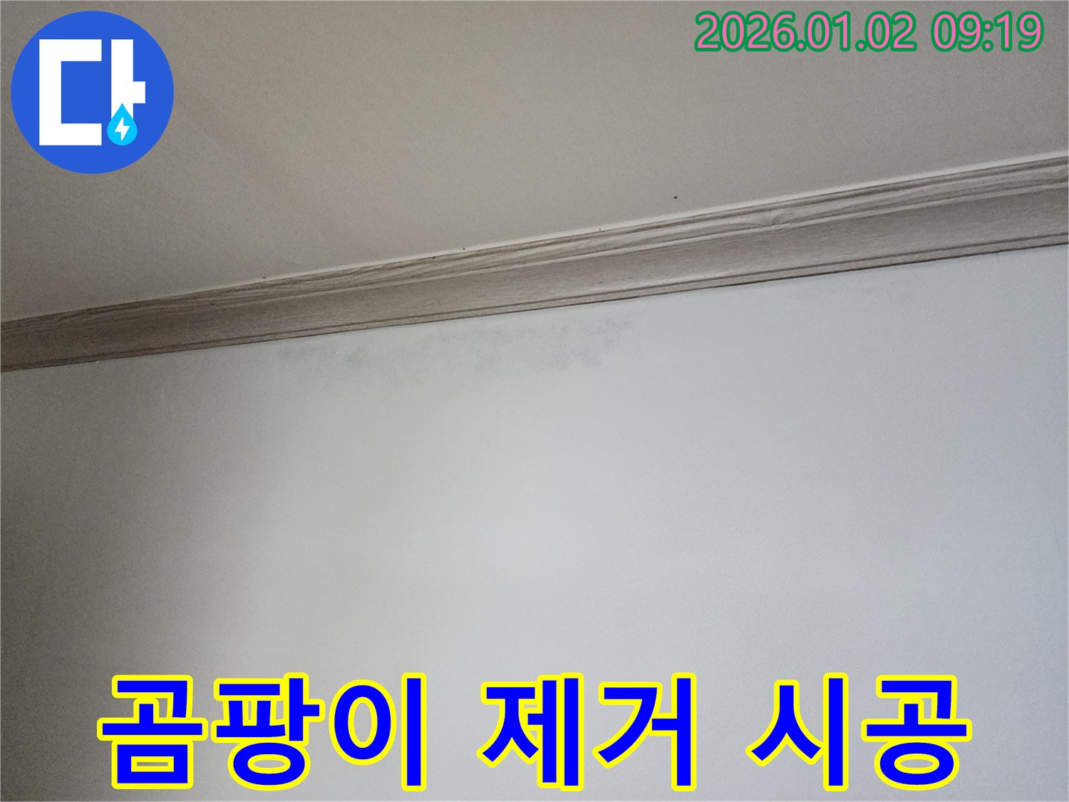 상계동 곰팡이 제거 - 곰팡이 제거 및 방지 시공