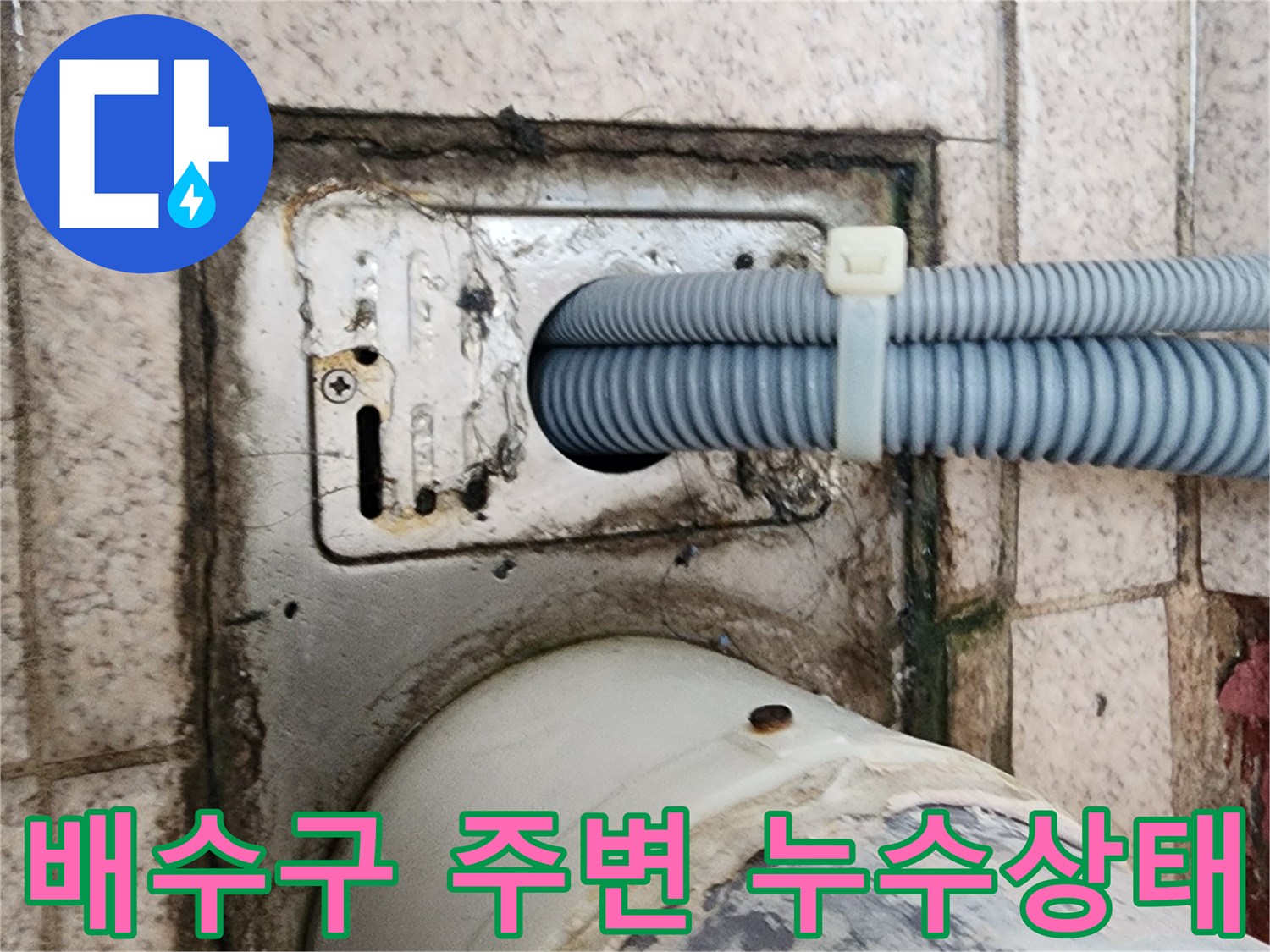 화장실 배수구 주변의 배관 연결 부위와 타일 틈새 확인