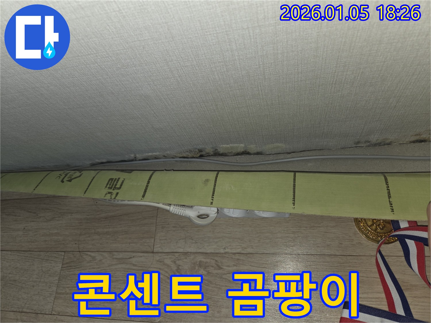콘센트 주변에 핀 곰팡이 - 누수와 전기 안전 점검이 필요합니다.