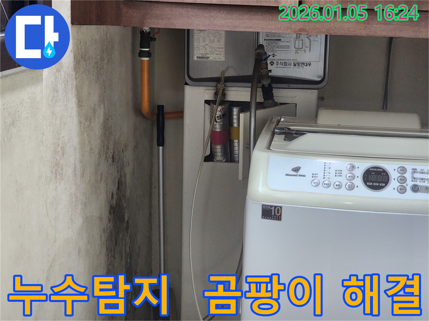 노원구 월계동 누수탐지 - 곰팡이 문제를 해결하기 위한 정확하고 확실한 누수탐지 과정을 보여줍니다.