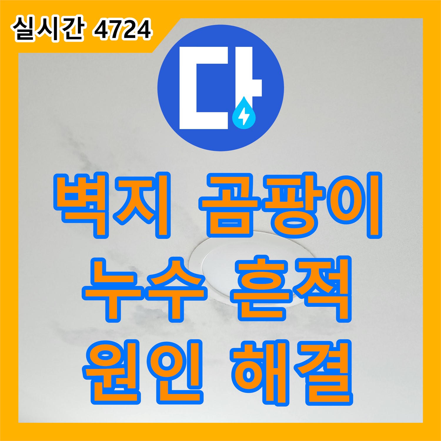 노원구 월계동, 벽지 곰팡이와 누수 흔적! 누수탐지전문가가 원인부터 해결