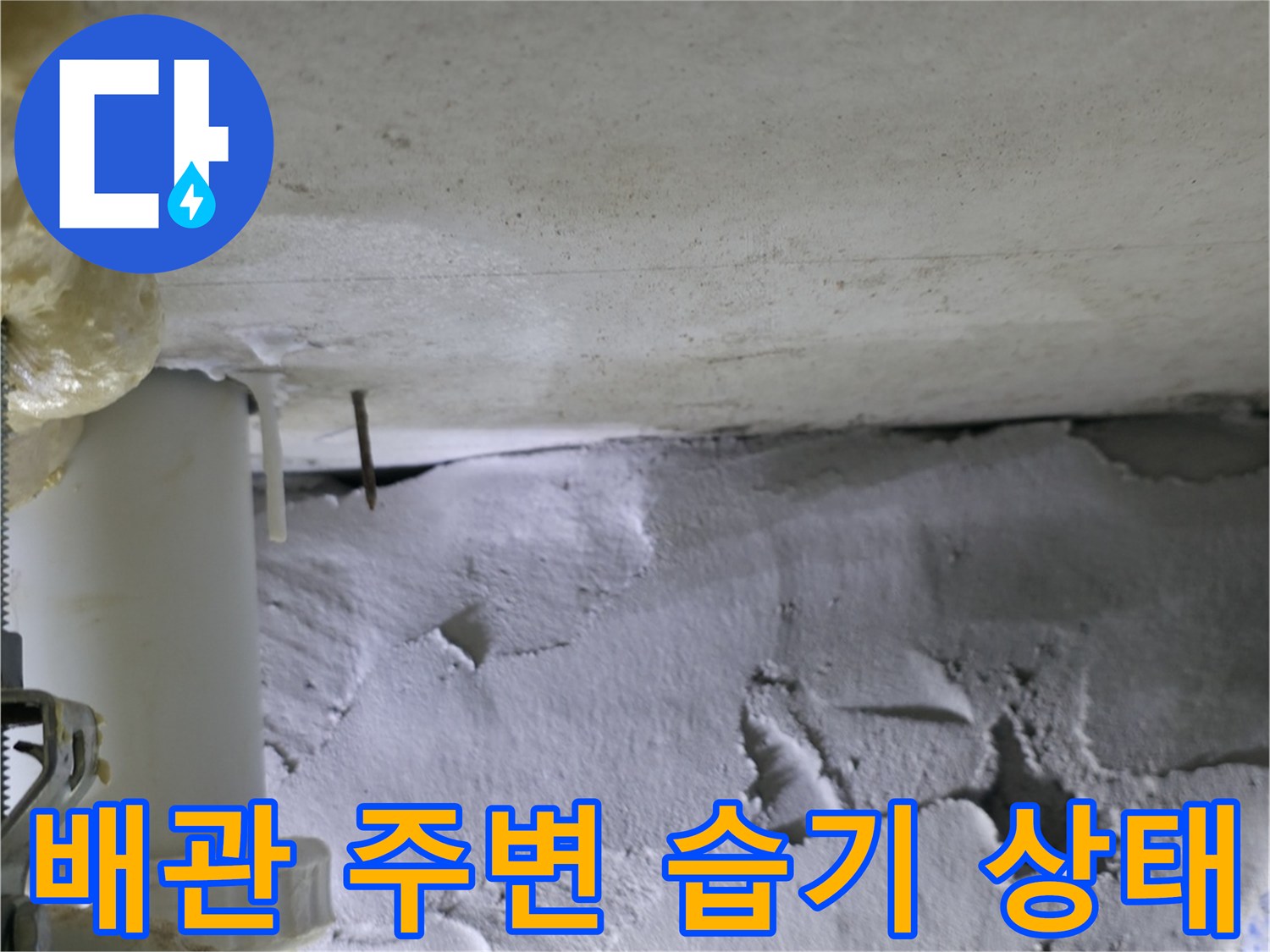 화장실 벽면 배관 근처에 곰팡이와 습기가 보이는 모습