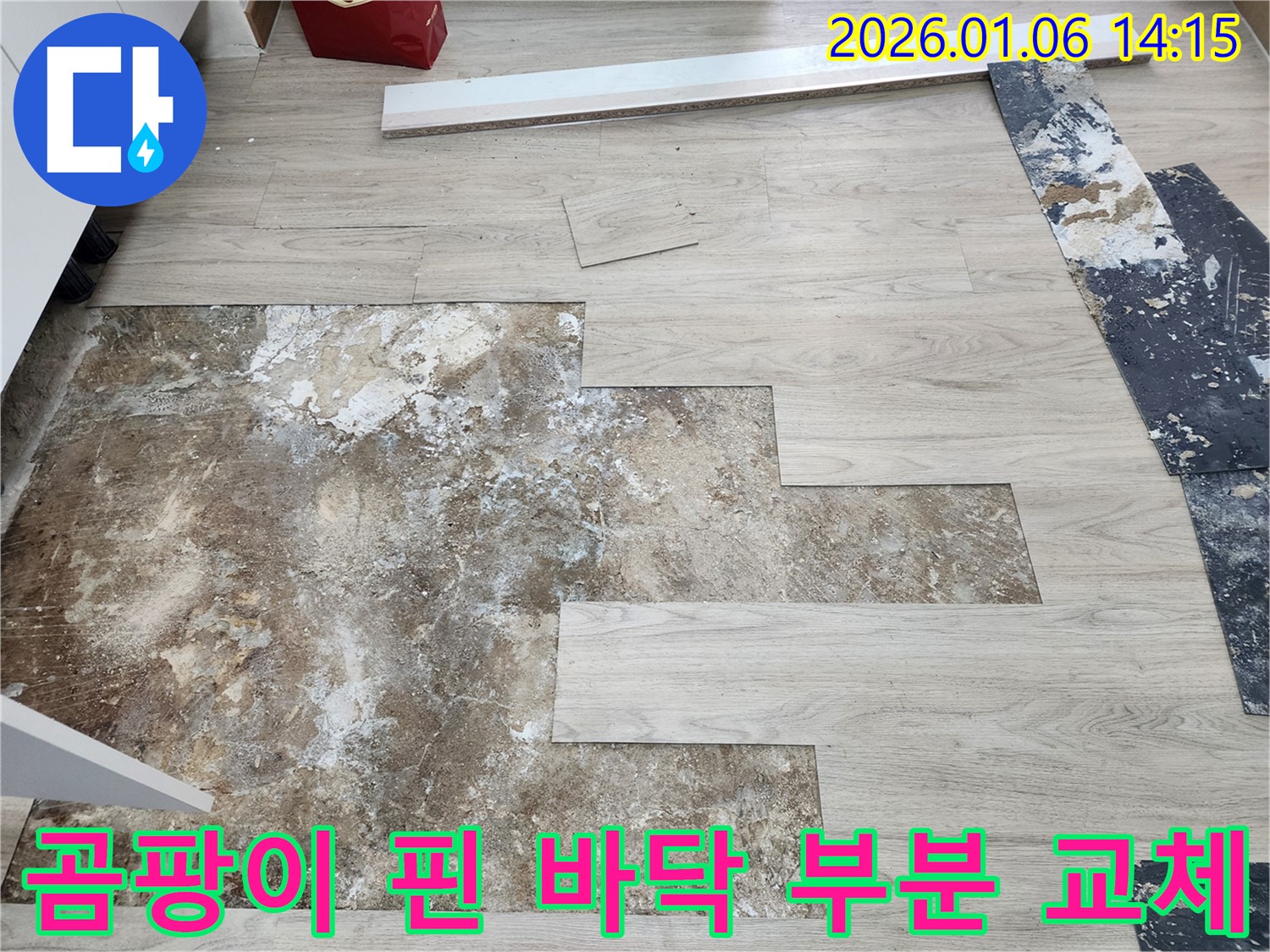 동두천 생연동 누수 - 곰팡이 핀 바닥 부분 교체로 깨끗하게 해결 완료
