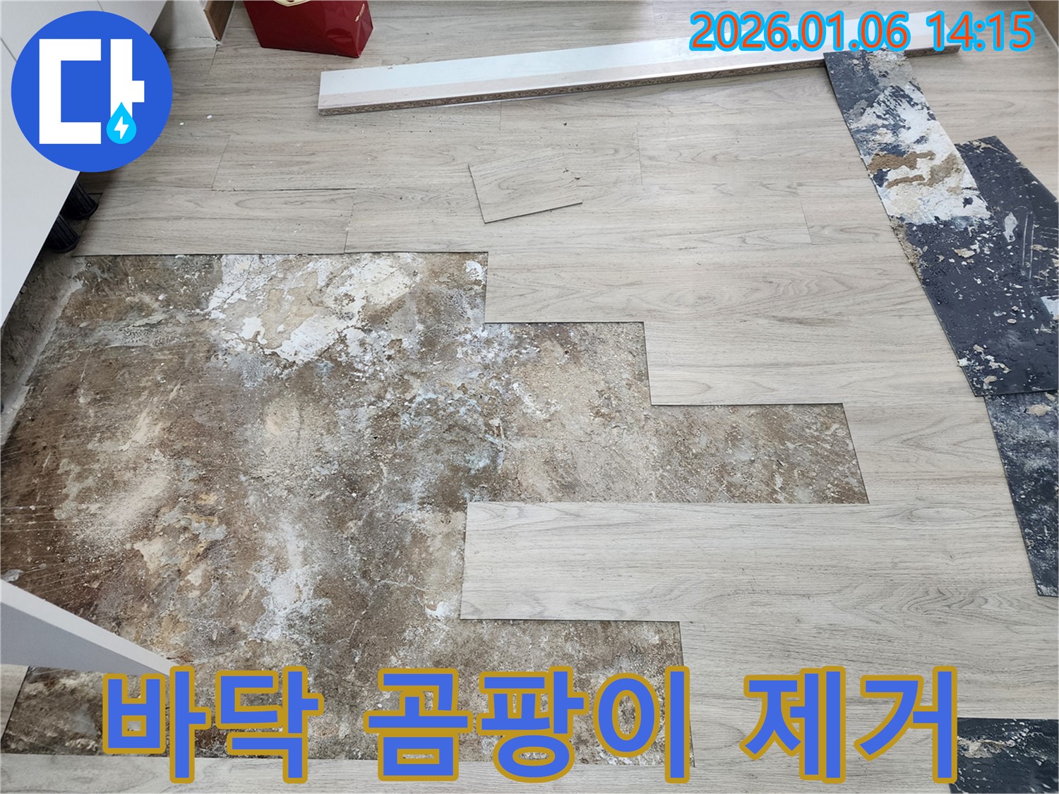 동두천 생연동 누수 - 누수 후 바닥 곰팡이, 깨끗하게 제거 완료!